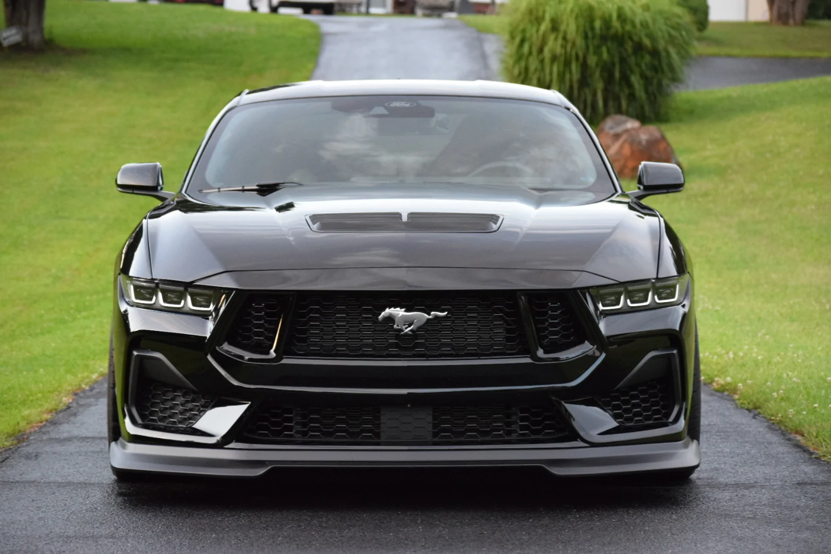 S650 Mustang What did you do to your S650 Mustang today?? 🙋🏻‍♂️ IMG_0208