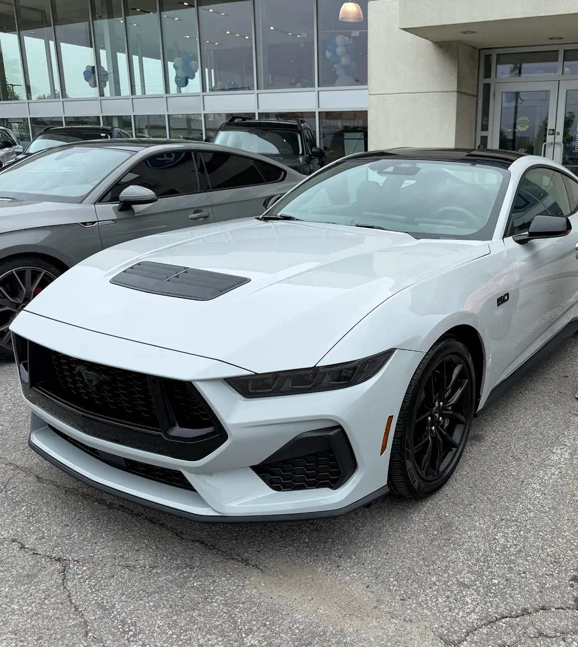 S650 Mustang 2026 Avalanche Gray Mustang GT photos 1786142986689-1h