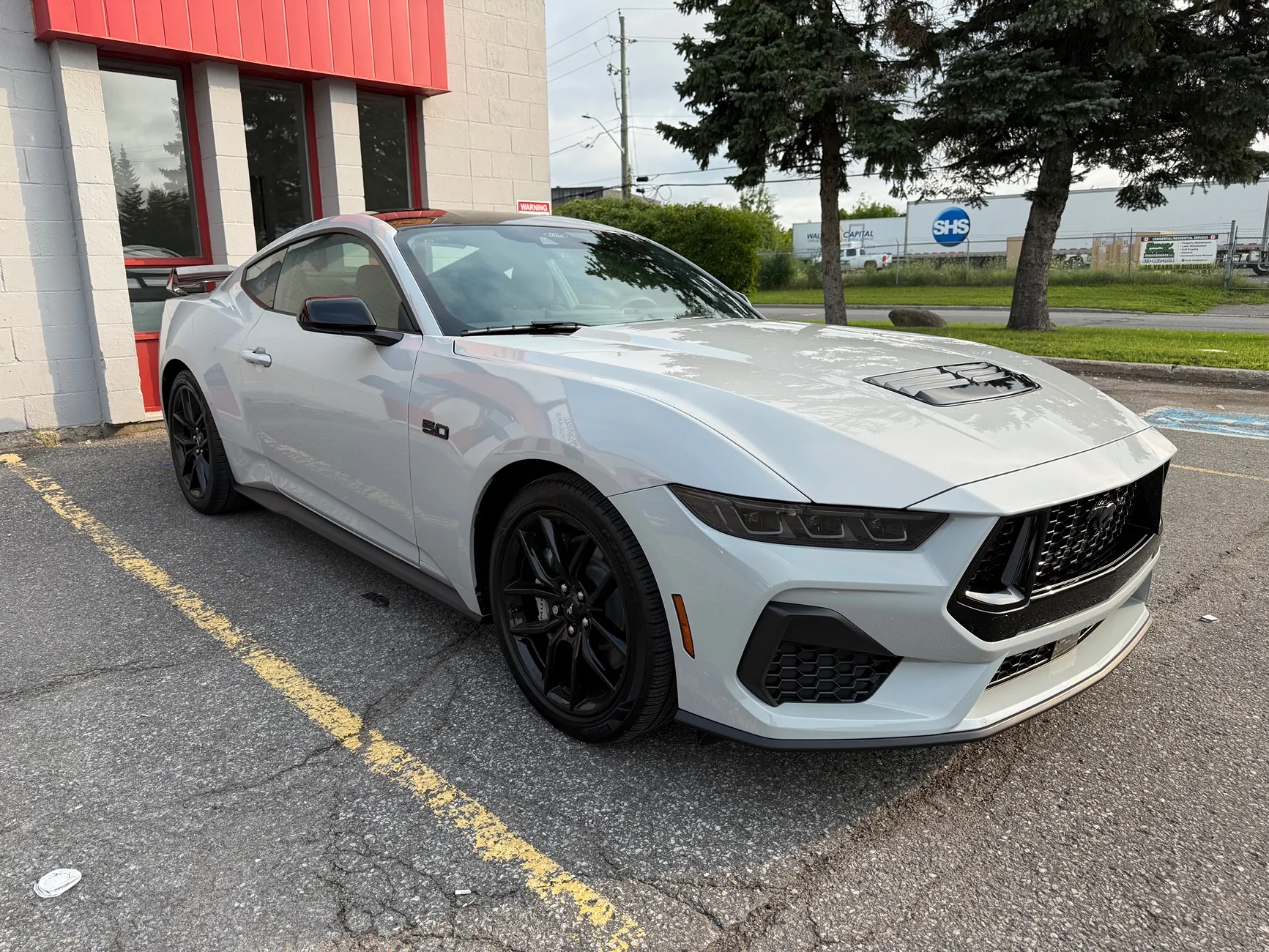 S650 Mustang 2026 Avalanche Gray Mustang GT photos IMG_8226