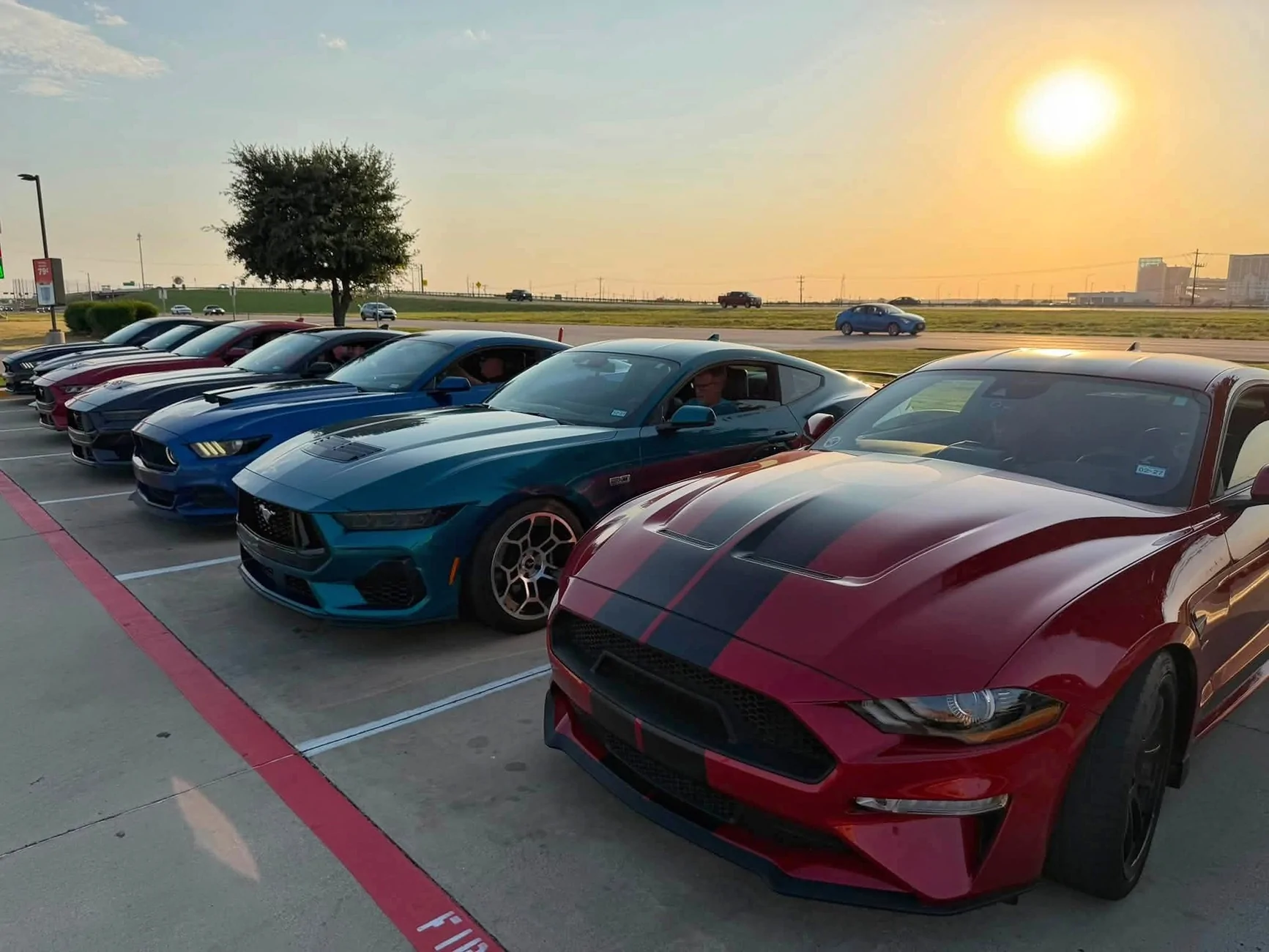 S650 Mustang Cool Daily Random S650 Mustang Pics -- Post Yours! 📸 1000020246