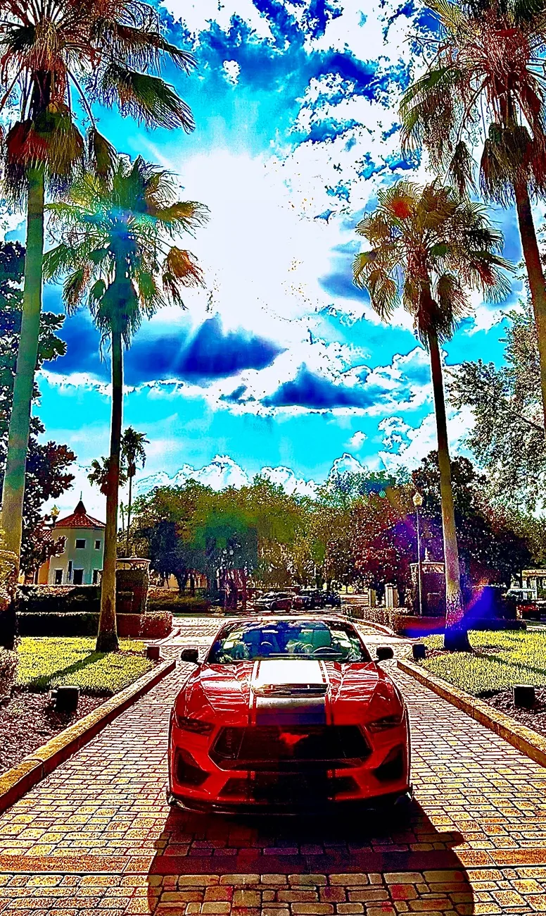 S650 Mustang Cool Daily Random S650 Mustang Pics -- Post Yours! 📸 IMG_5310