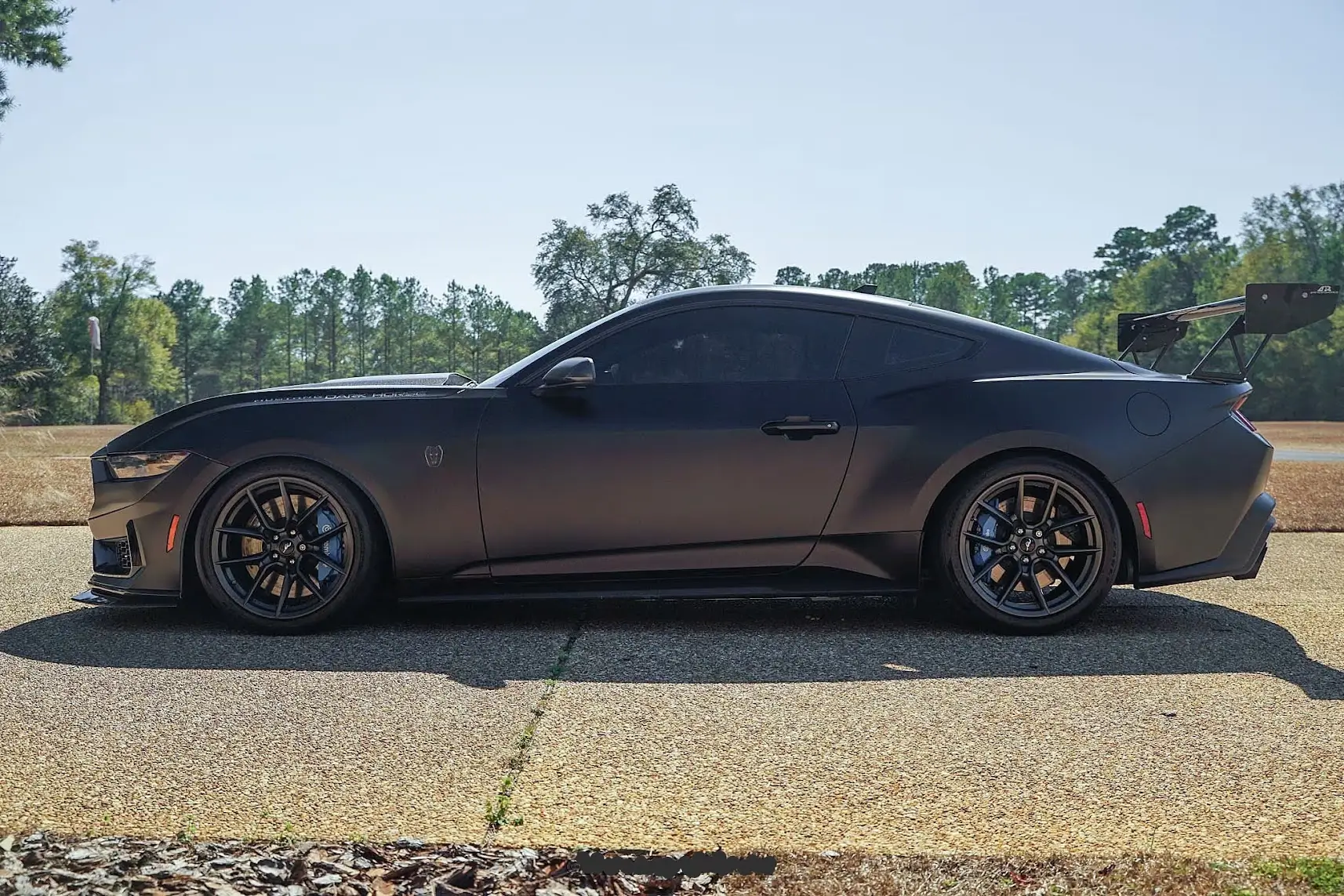 S650 Mustang DH (w/HP) Owners with Superchargers Installed: who has done stiffer front springs? 1786720672833-vr