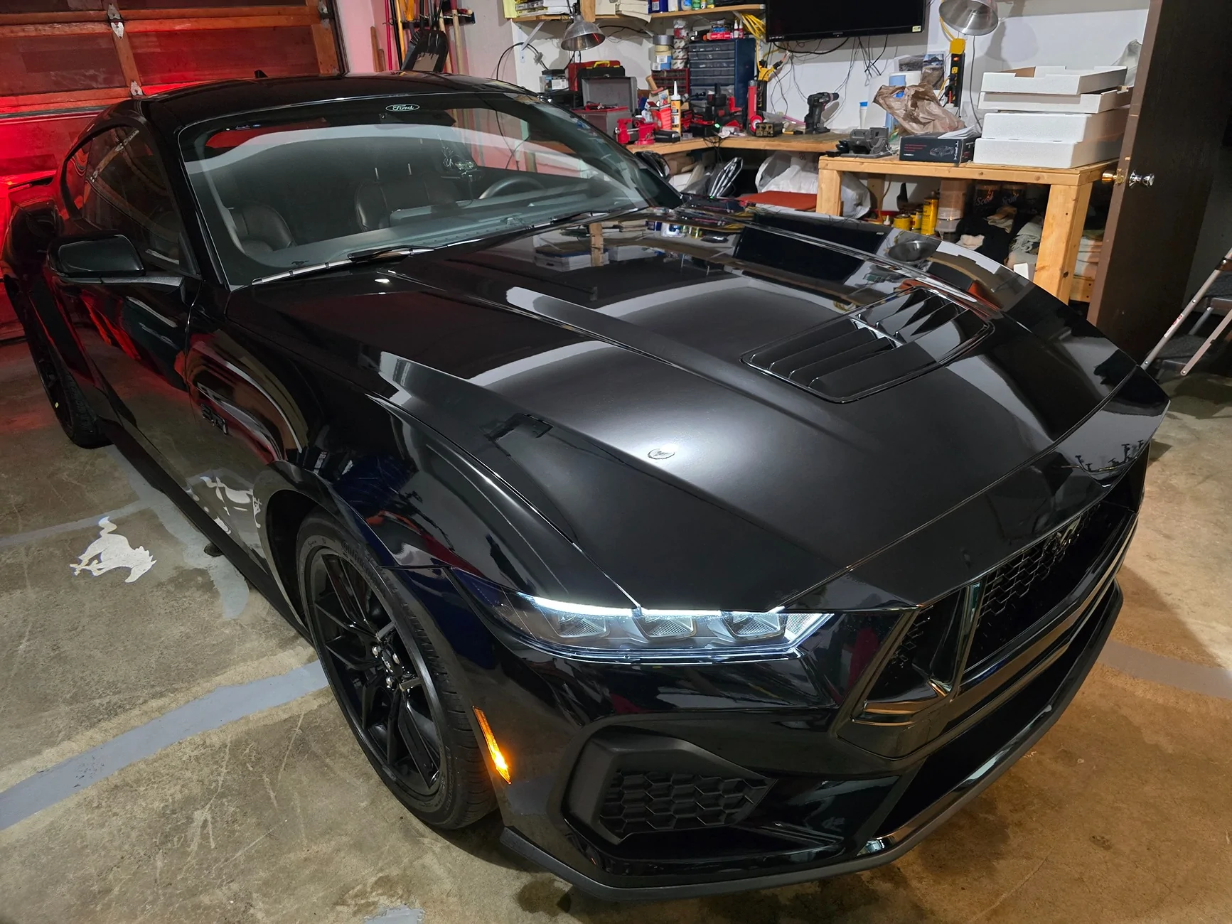 S650 Mustang chasing my tail and it's driving me nuts 1000004104