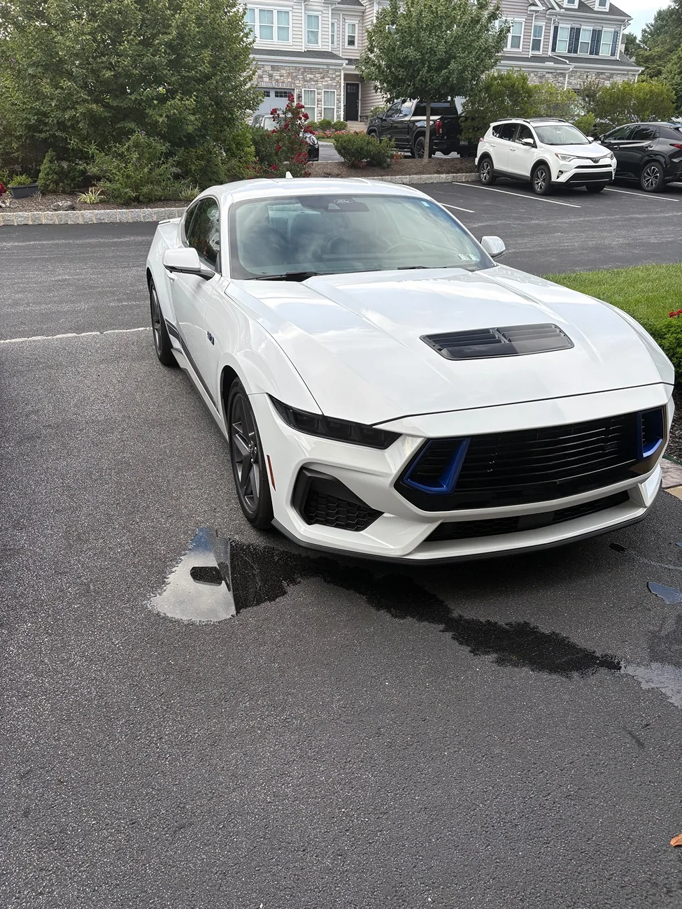 S650 Mustang New to me 2024 IMG_4933