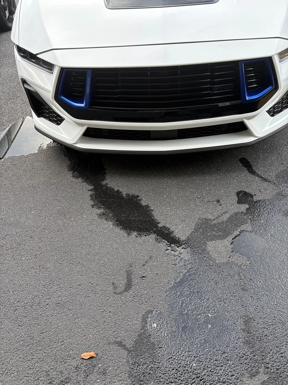 S650 Mustang New to me 2024 IMG_4929