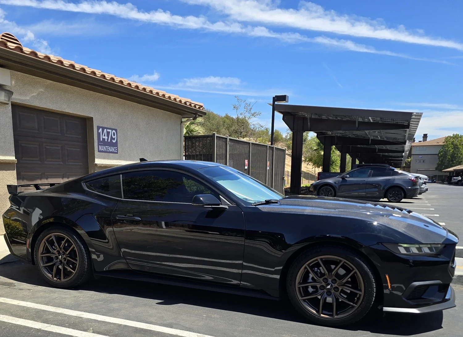 S650 Mustang Viking's Black EcoBeast Build GT3-Hood1
