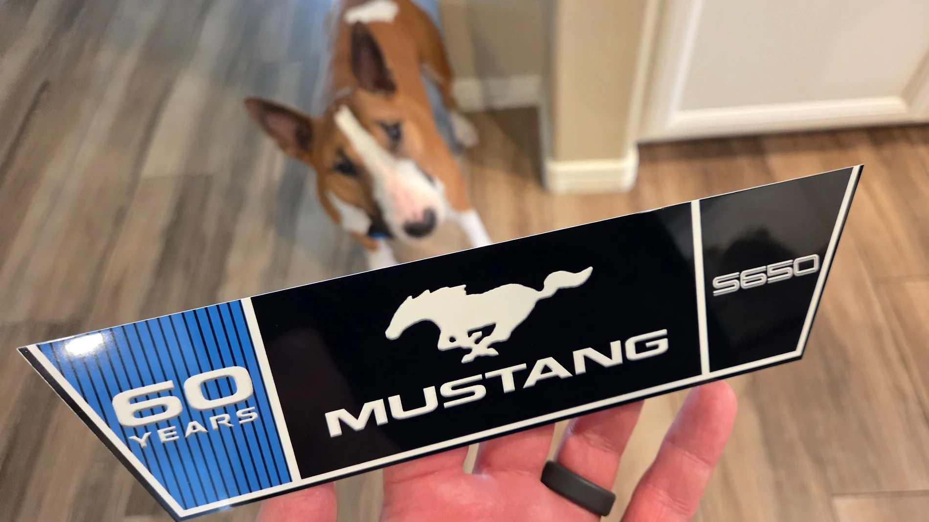 S650 Mustang It's about the little things. Show us your custom accessories. 19111