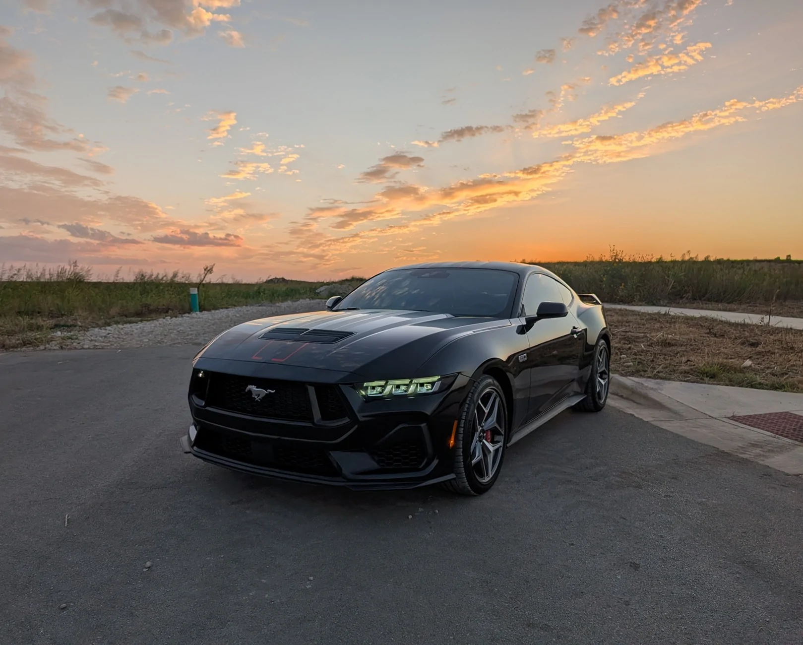 S650 Mustang What did you do to your S650 Mustang today?? 🙋🏻‍♂️ PXL_20260821_010437335