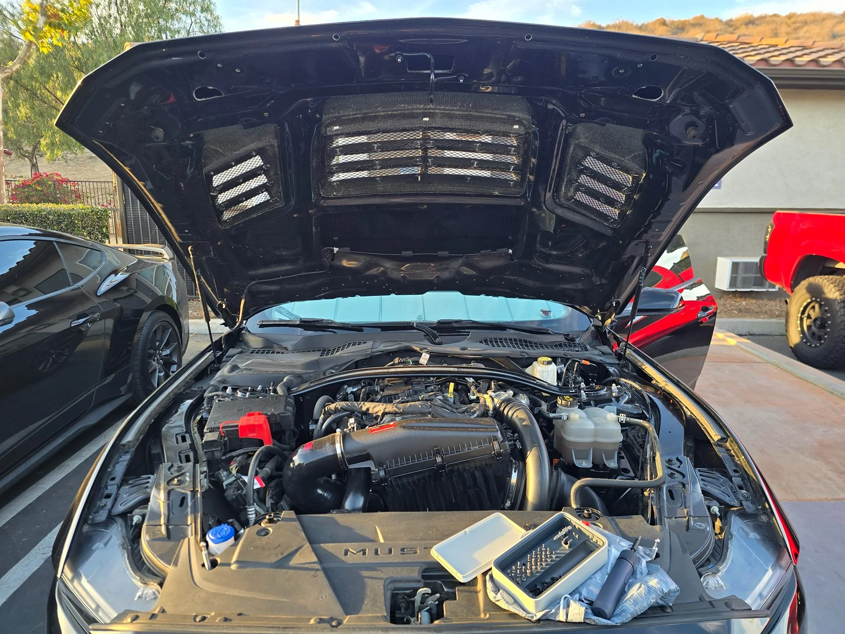 S650 Mustang Viking's Black EcoBeast Build 20260820_190239