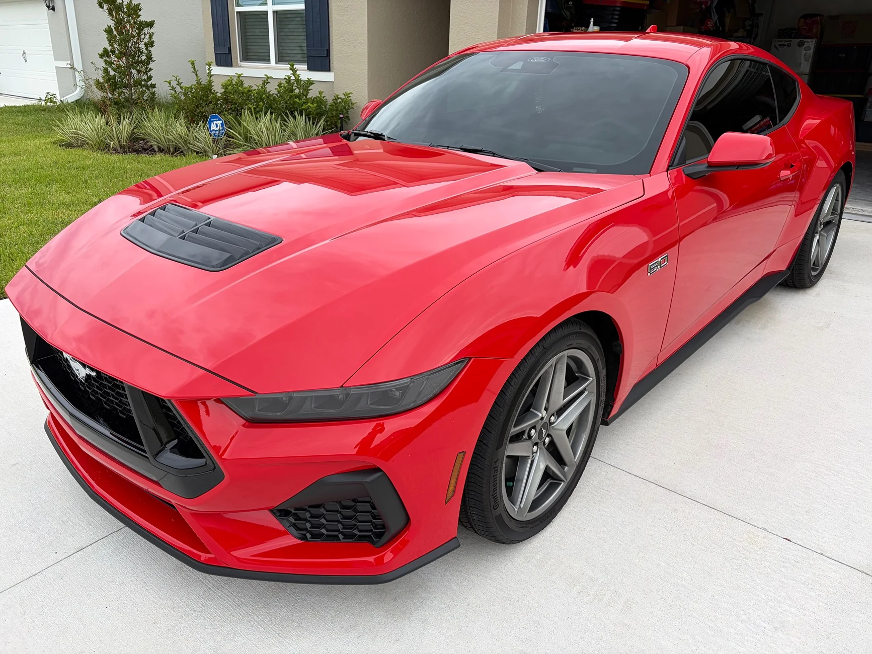 S650 Mustang Introductions & Welcome Thread 👋 IMG_7915