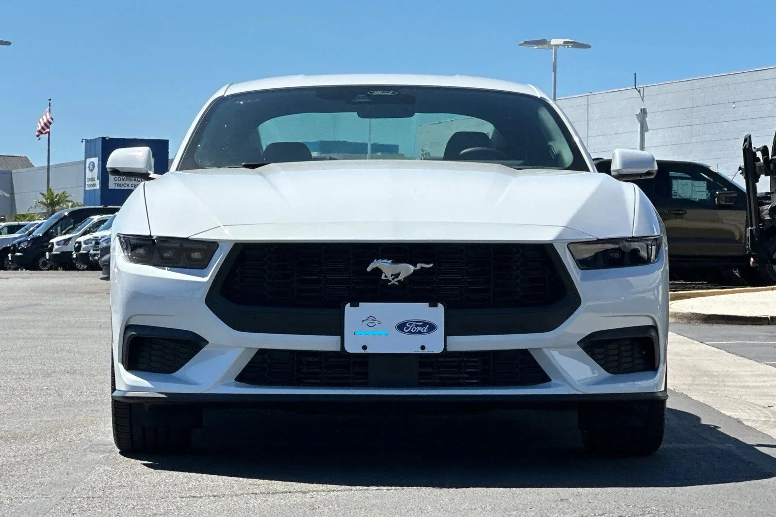 S650 Mustang Hood Misalignment Image 48