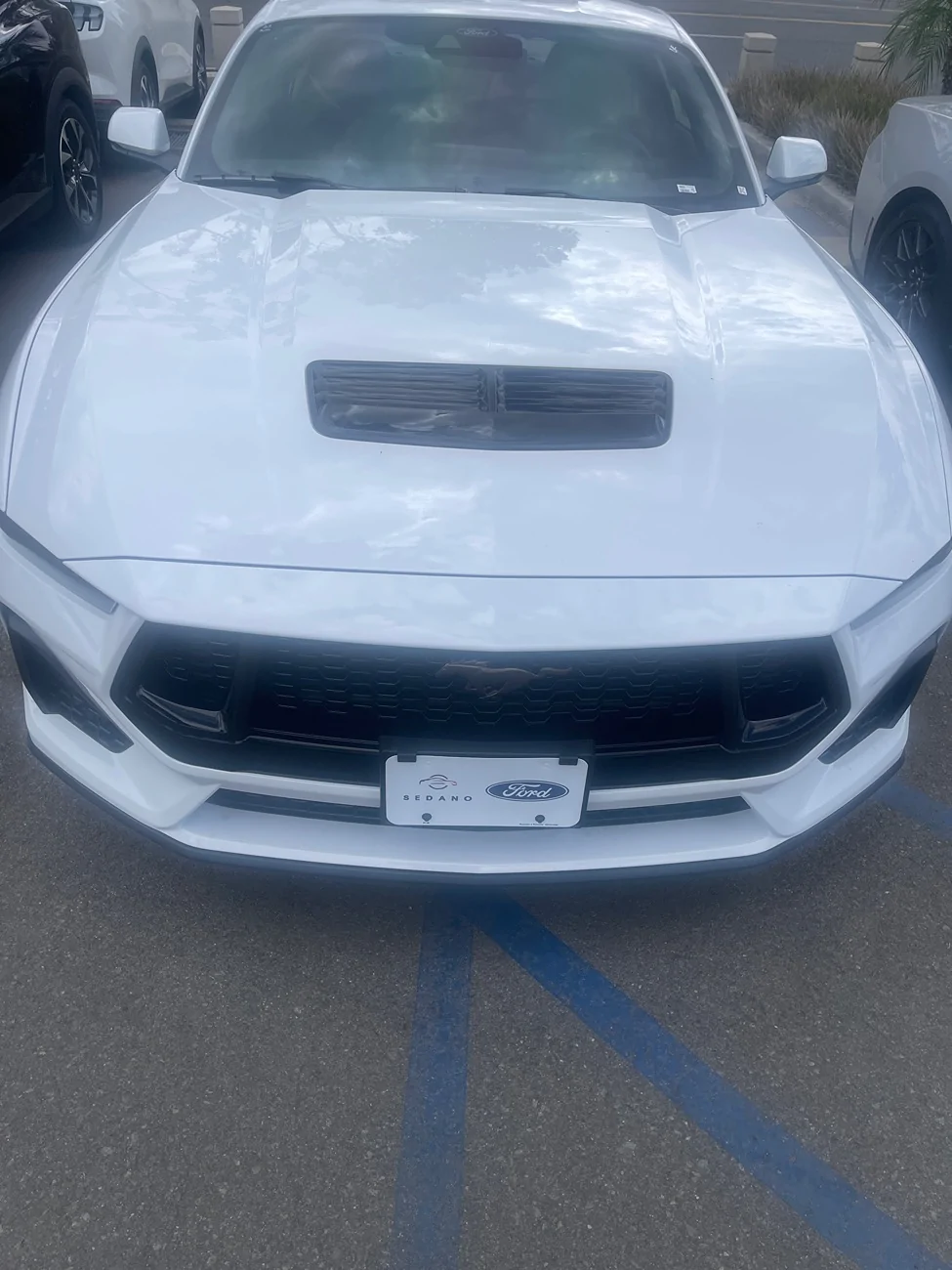 S650 Mustang Hood Misalignment IMG_5847