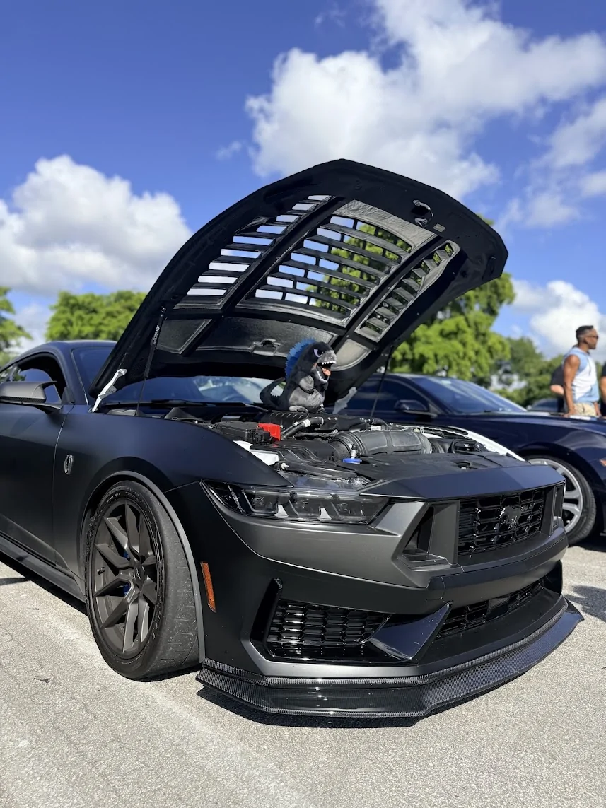 S650 Mustang ANDERSON COMPOSITE?? 1787620040521-4l