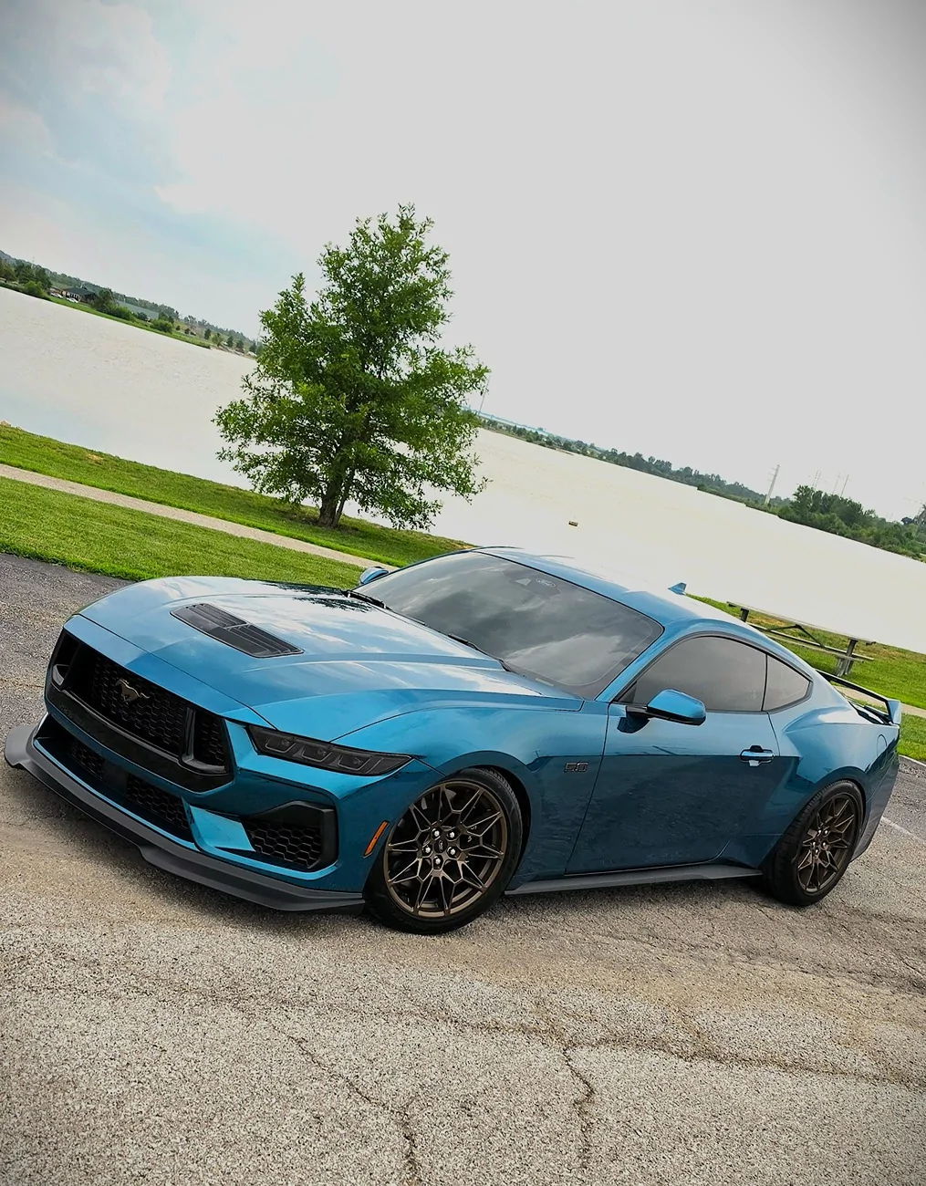 S650 Mustang Cool Daily Random S650 Mustang Pics -- Post Yours! 📸 20260812_155051