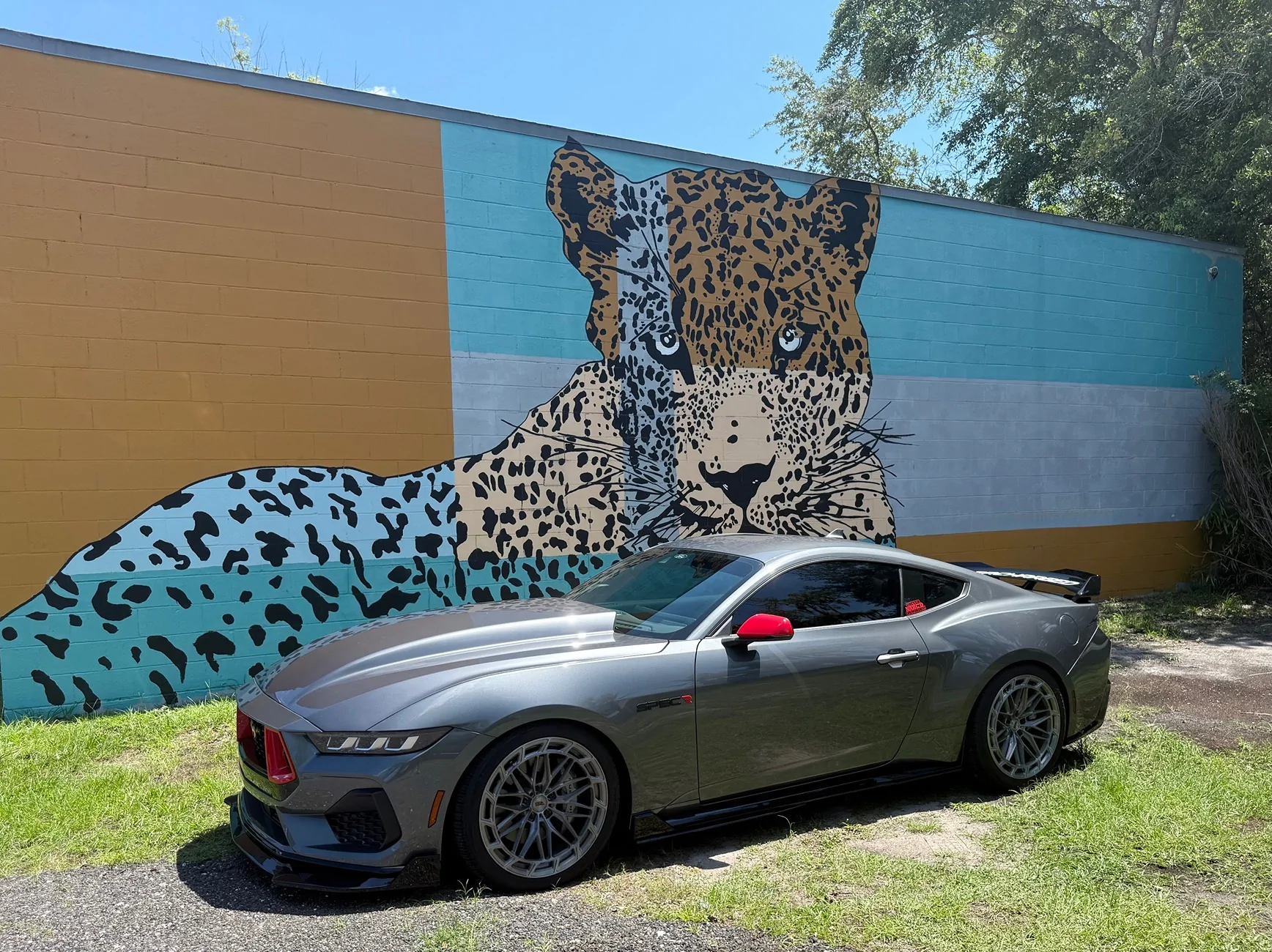 S650 Mustang Cool Daily Random S650 Mustang Pics -- Post Yours! 📸 IMG_6844