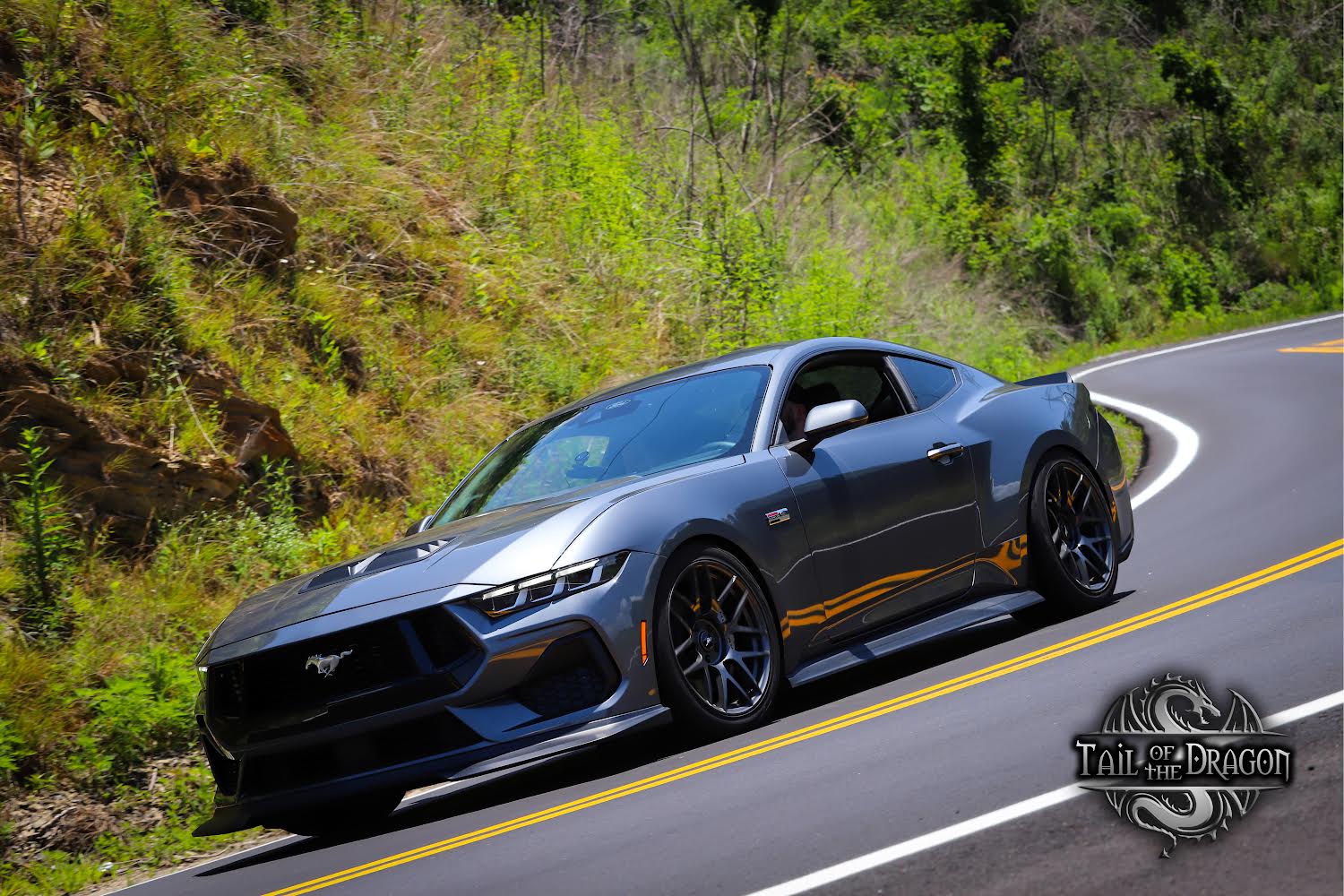 S650 Mustang Good minimal drop lowering springs? IMG_6365