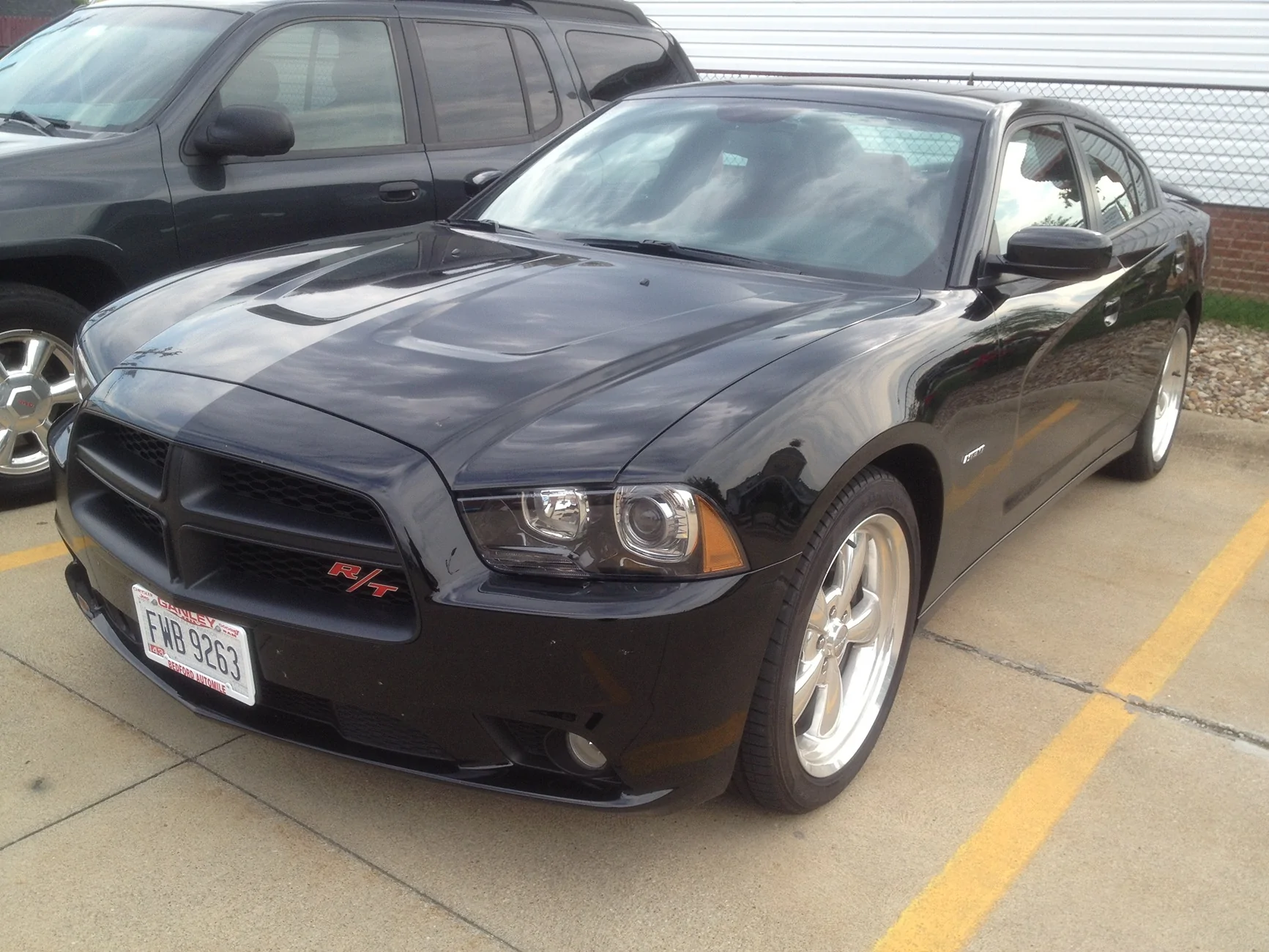 S650 Mustang Smile for the Day IMG_0179