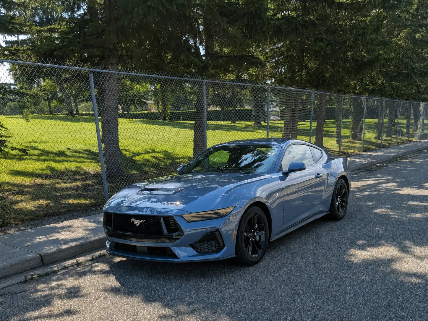 S650 Mustang Introductions & Welcome Thread 👋 file_00000000f50481fbae24f7d6b276be7