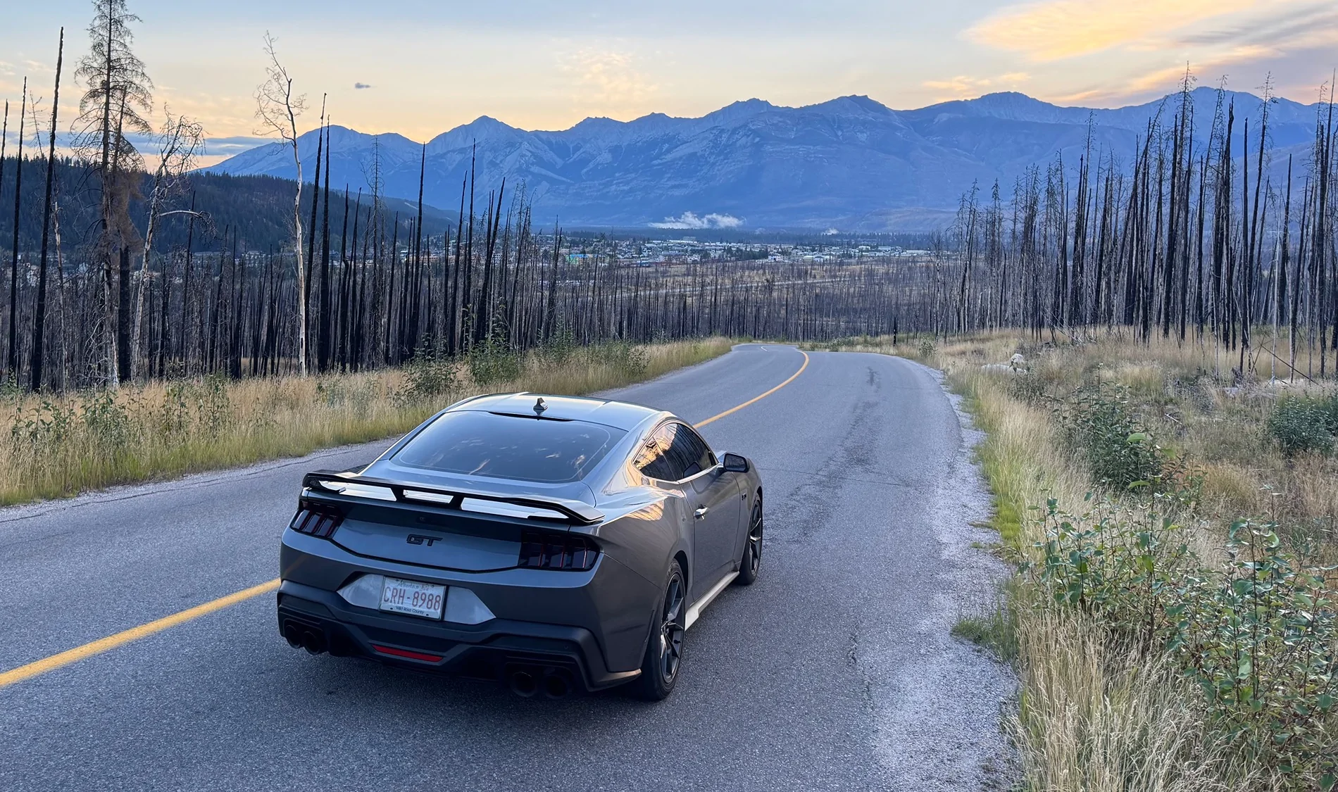 S650 Mustang Cool Daily Random S650 Mustang Pics -- Post Yours! 📸 IMG_1147