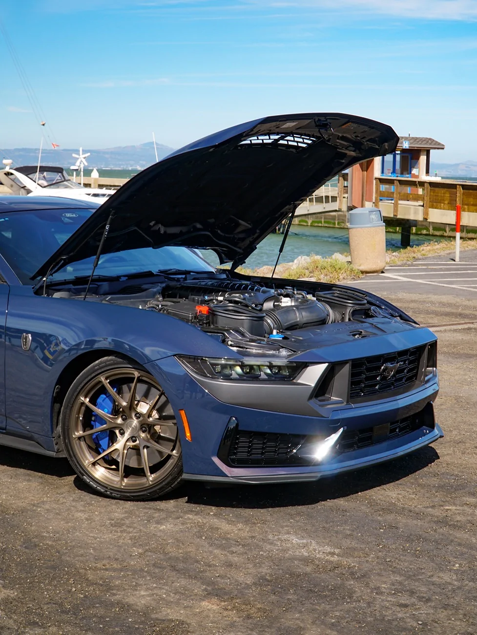 S650 Mustang Cool Daily Random S650 Mustang Pics -- Post Yours! 📸 DSC03491