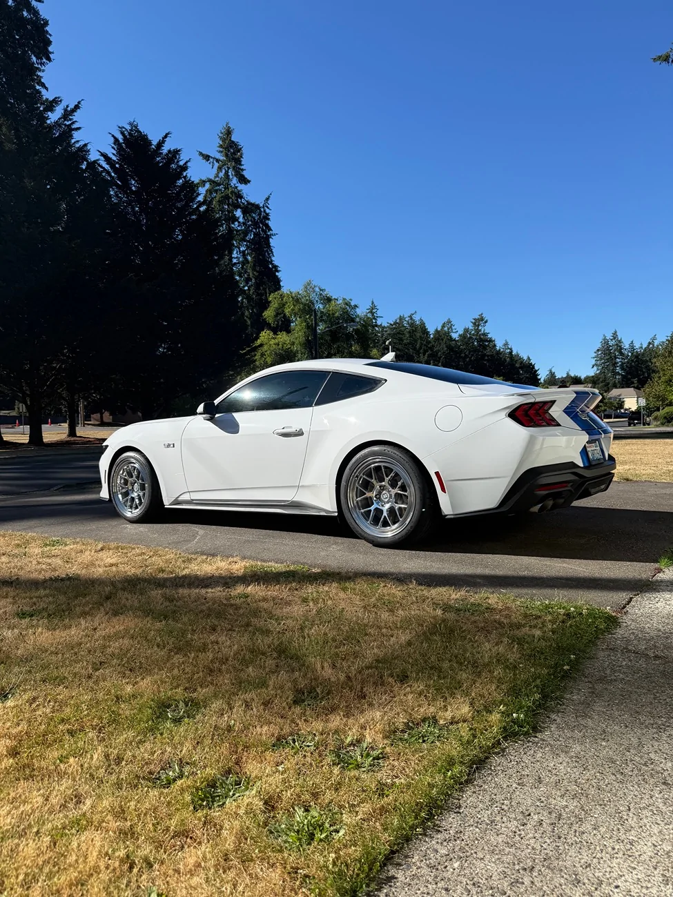 S650 Mustang WTT: spoiler module for spoiler delete module IMG_7227