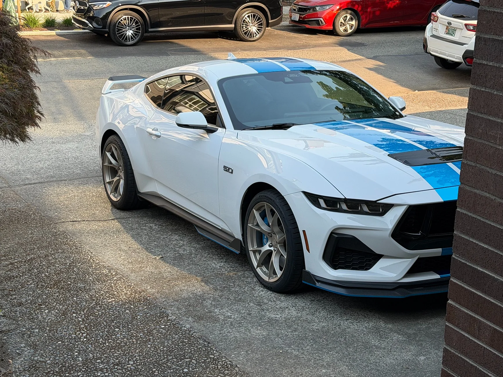 S650 Mustang What did you do to your S650 Mustang today?? 🙋🏻‍♂️ IMG_0205