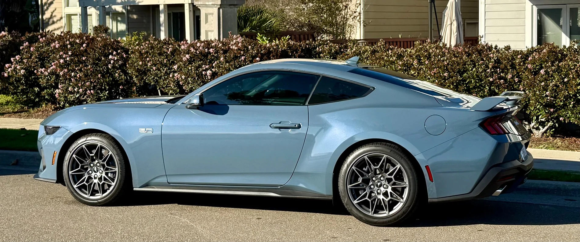 S650 Mustang What did you do to your S650 Mustang today?? 🙋🏻‍♂️ IMG_7686