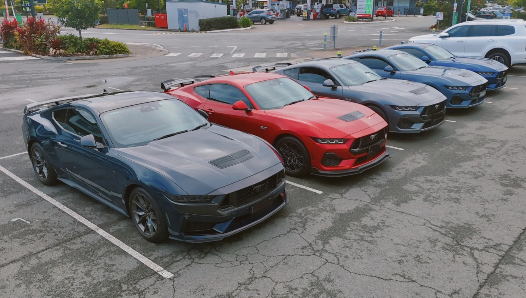S650 Mustang SEQ Drive to The Spit - Gold Coast - 3rd October (Sat) 1000036387
