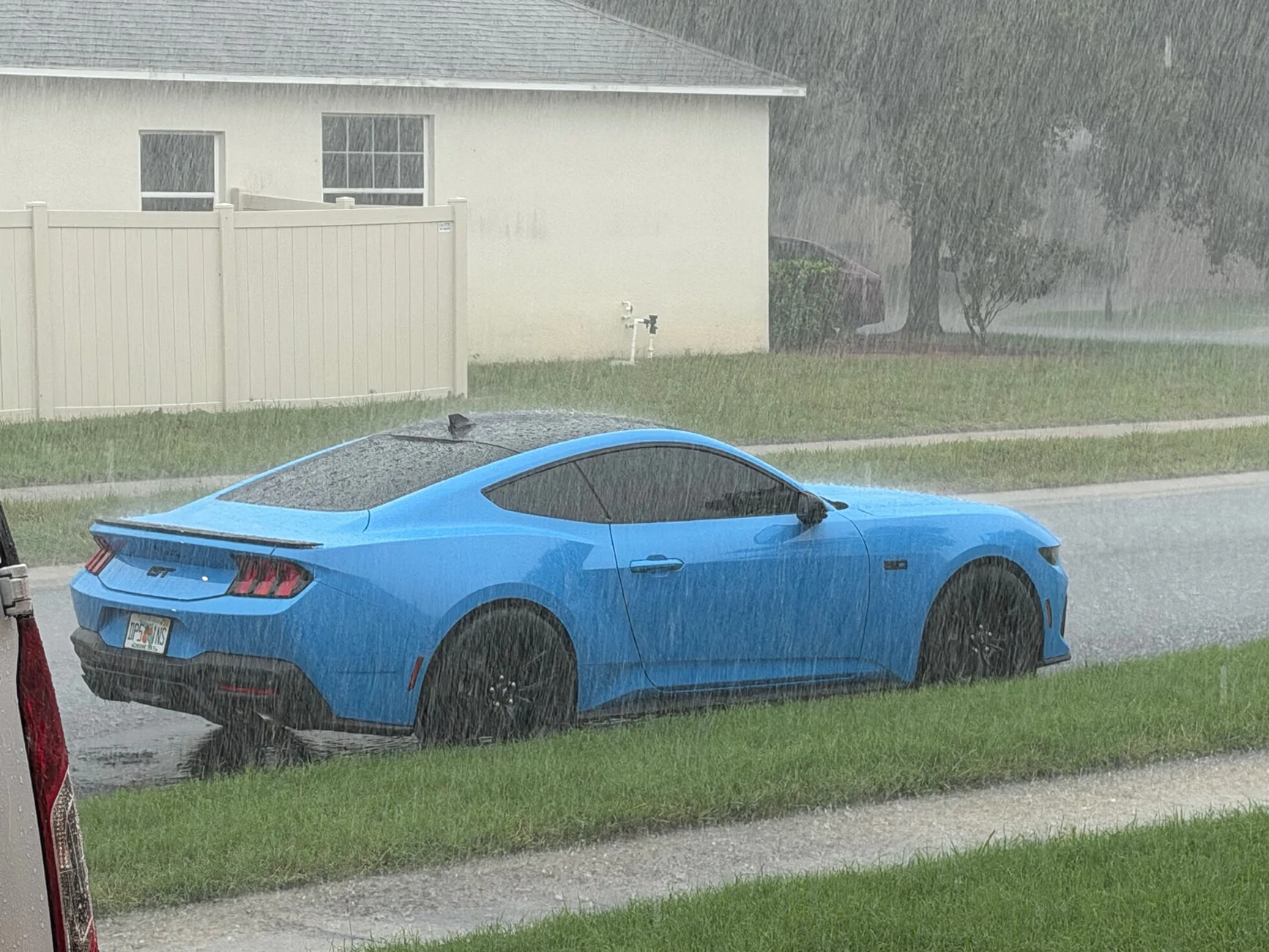 S650 Mustang Will Grabber Blue return in 2027? IMG_0791