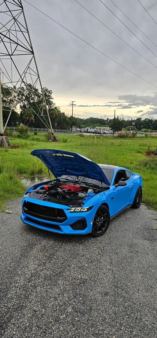S650 Mustang Will Grabber Blue return in 2027? 1000042240