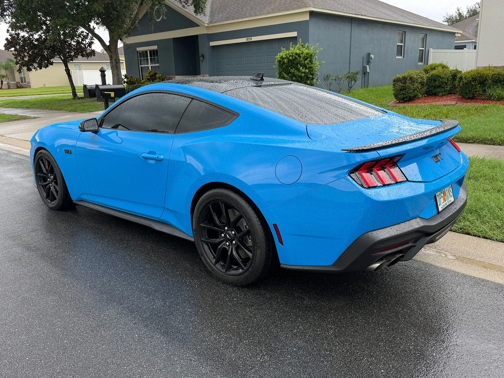 S650 Mustang Will Grabber Blue return in 2027? IMG_0789