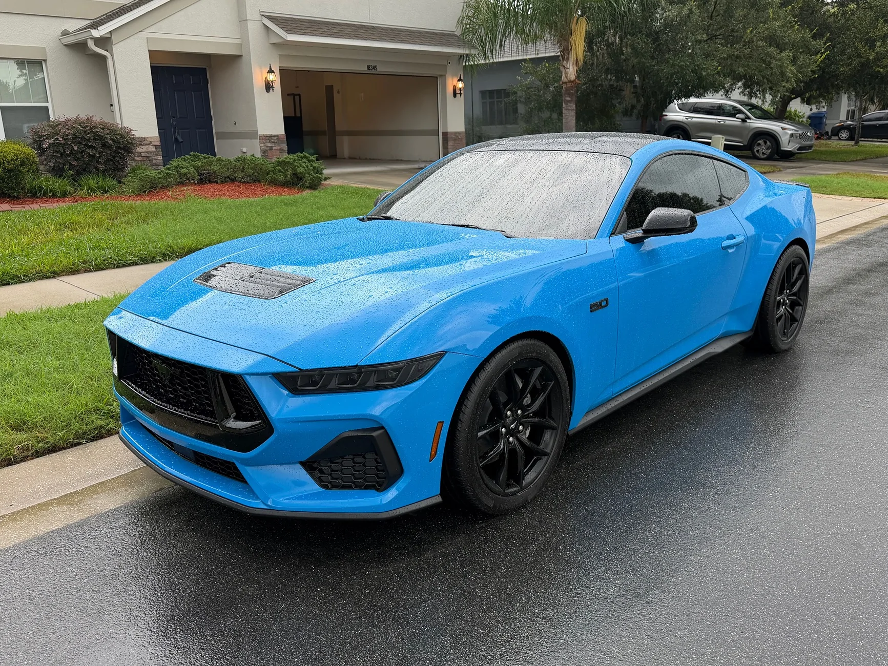 S650 Mustang Will Grabber Blue return in 2027? IMG_0786
