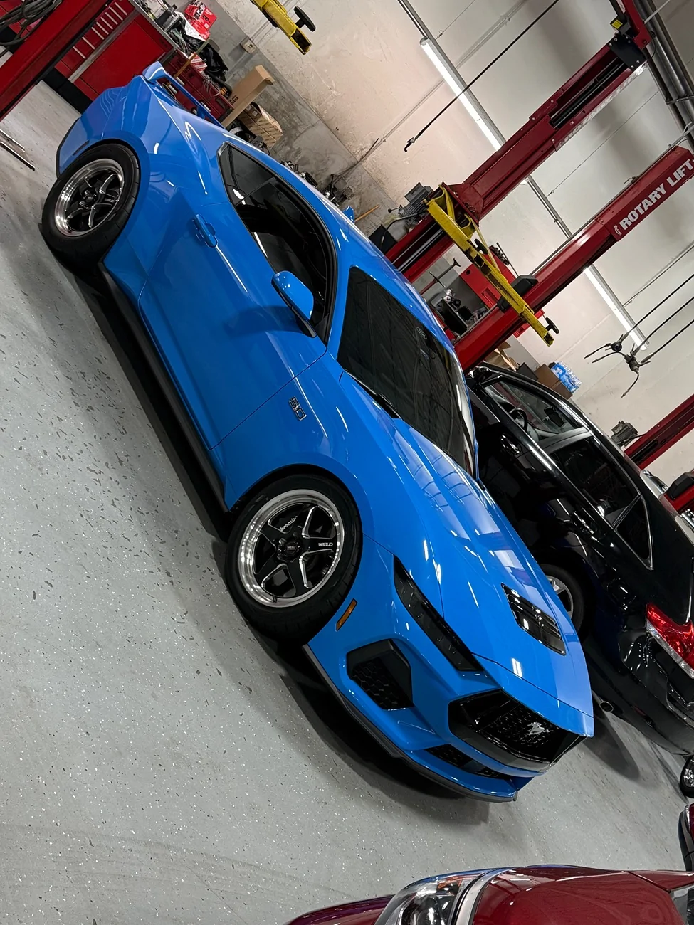 S650 Mustang Will Grabber Blue return in 2027? IMG_9179