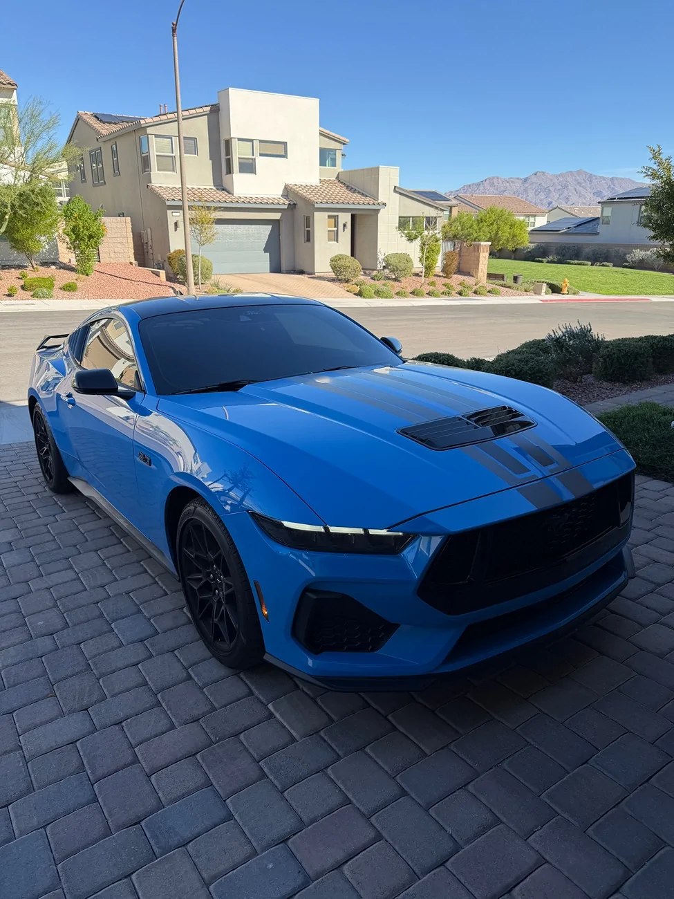 S650 Mustang Will Grabber Blue return in 2027? IMG_0088