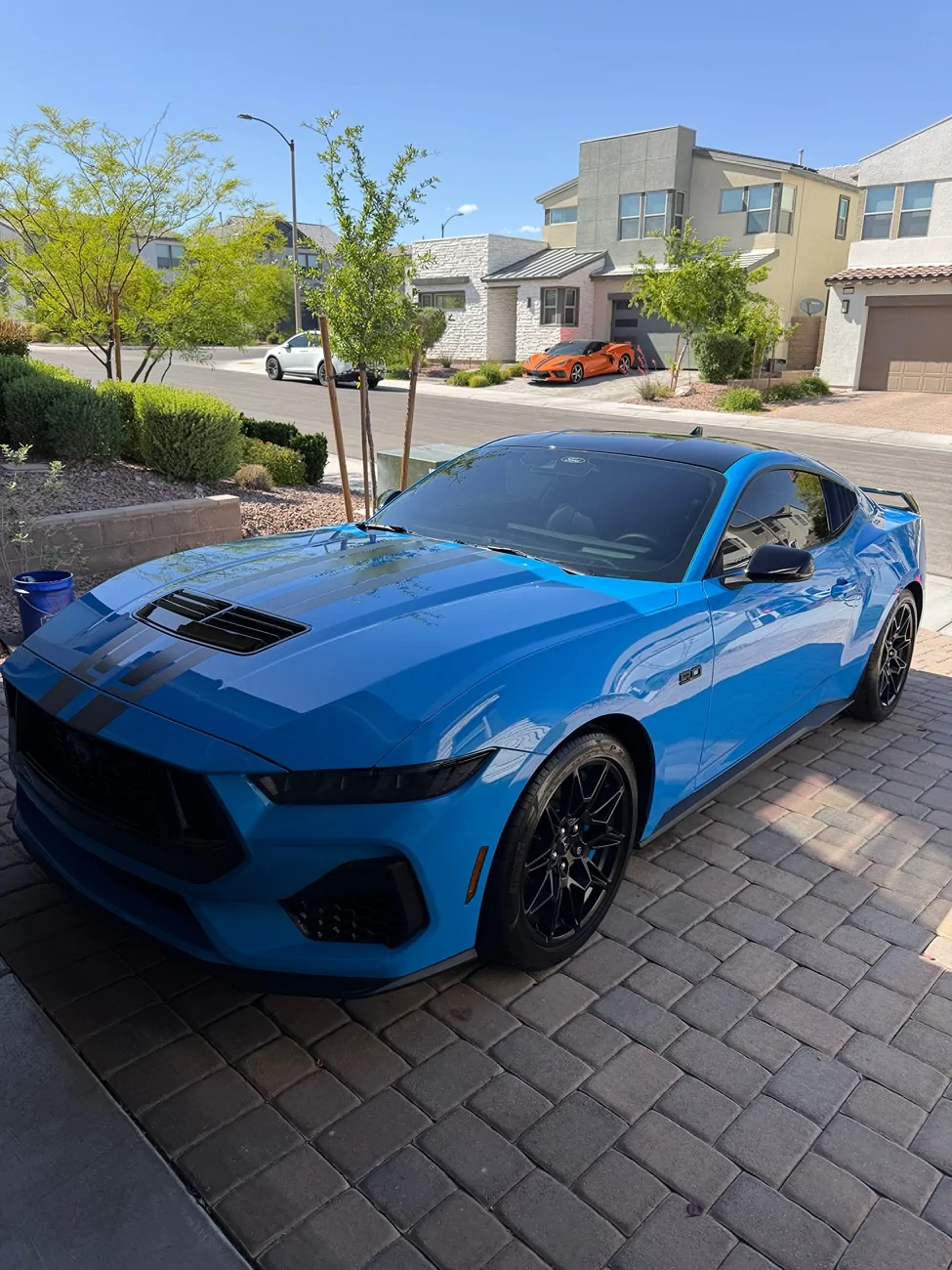 S650 Mustang Will Grabber Blue return in 2027? IMG_1634
