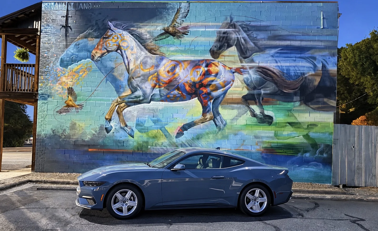 S650 Mustang Cool Daily Random S650 Mustang Pics -- Post Yours! 📸 3C34D811-A397-4DC2-88F3-CB684DA8AE2E