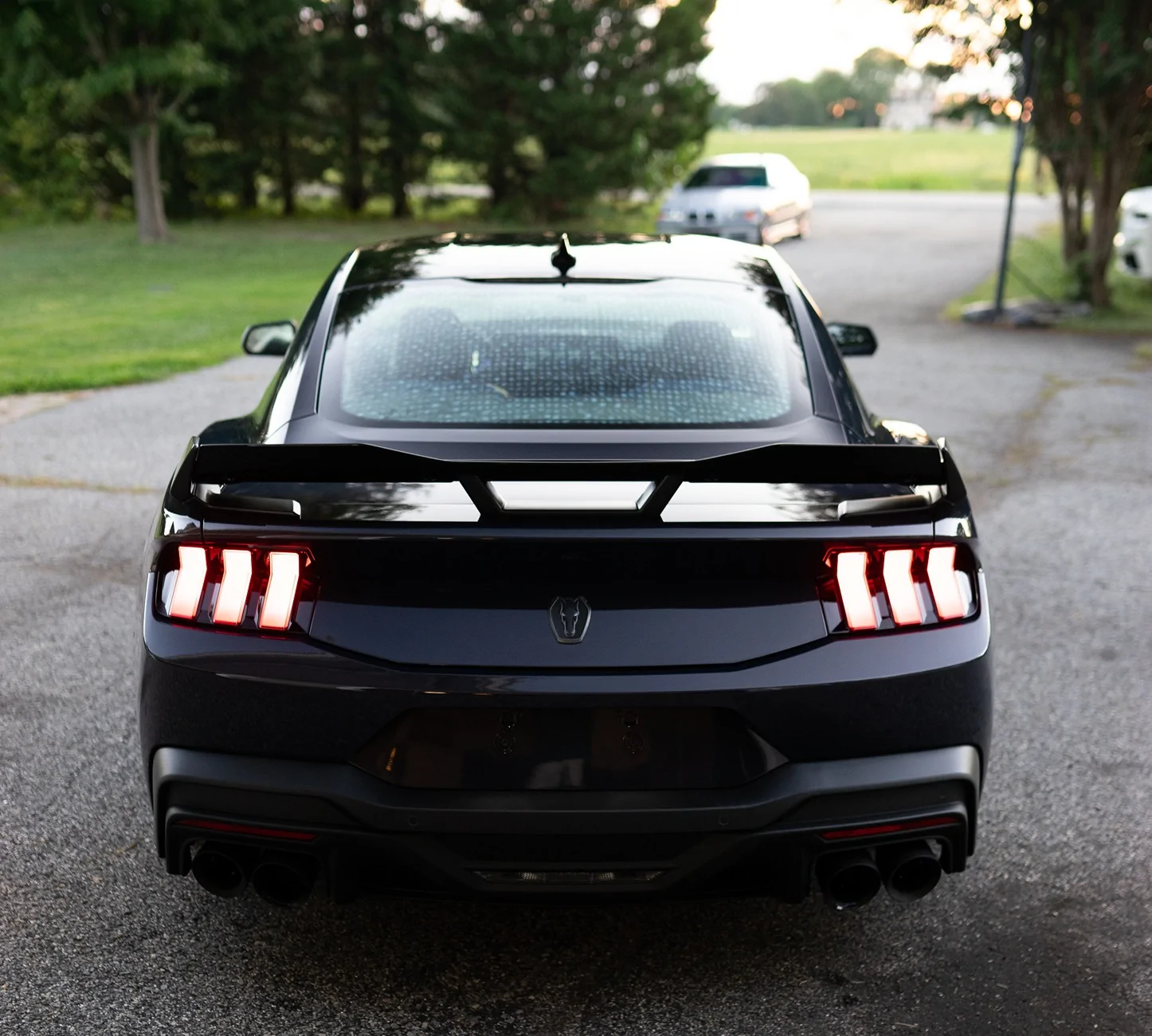 S650 Mustang Cool Daily Random S650 Mustang Pics -- Post Yours! 📸 dh3