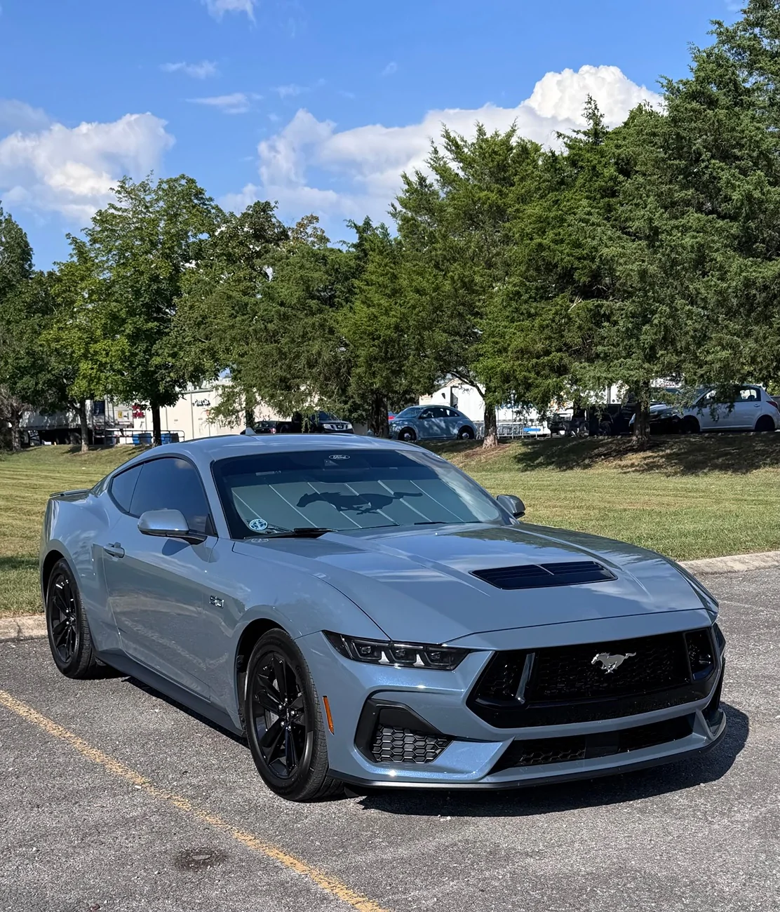 S650 Mustang Cool Daily Random S650 Mustang Pics -- Post Yours! 📸 IMG_9342