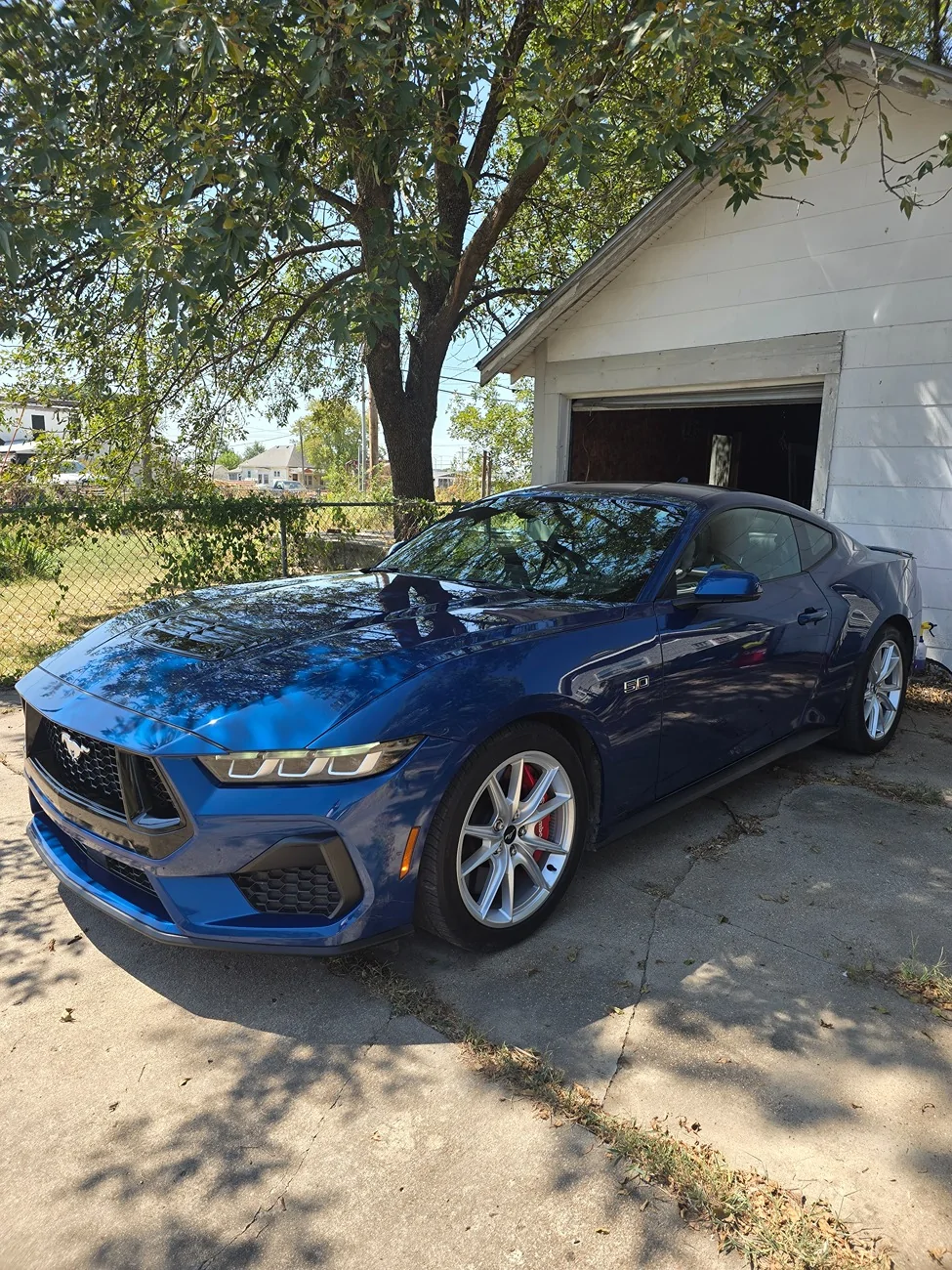 S650 Mustang This is Trevor my 2024 GT premium in atlas blue 20260905_123337