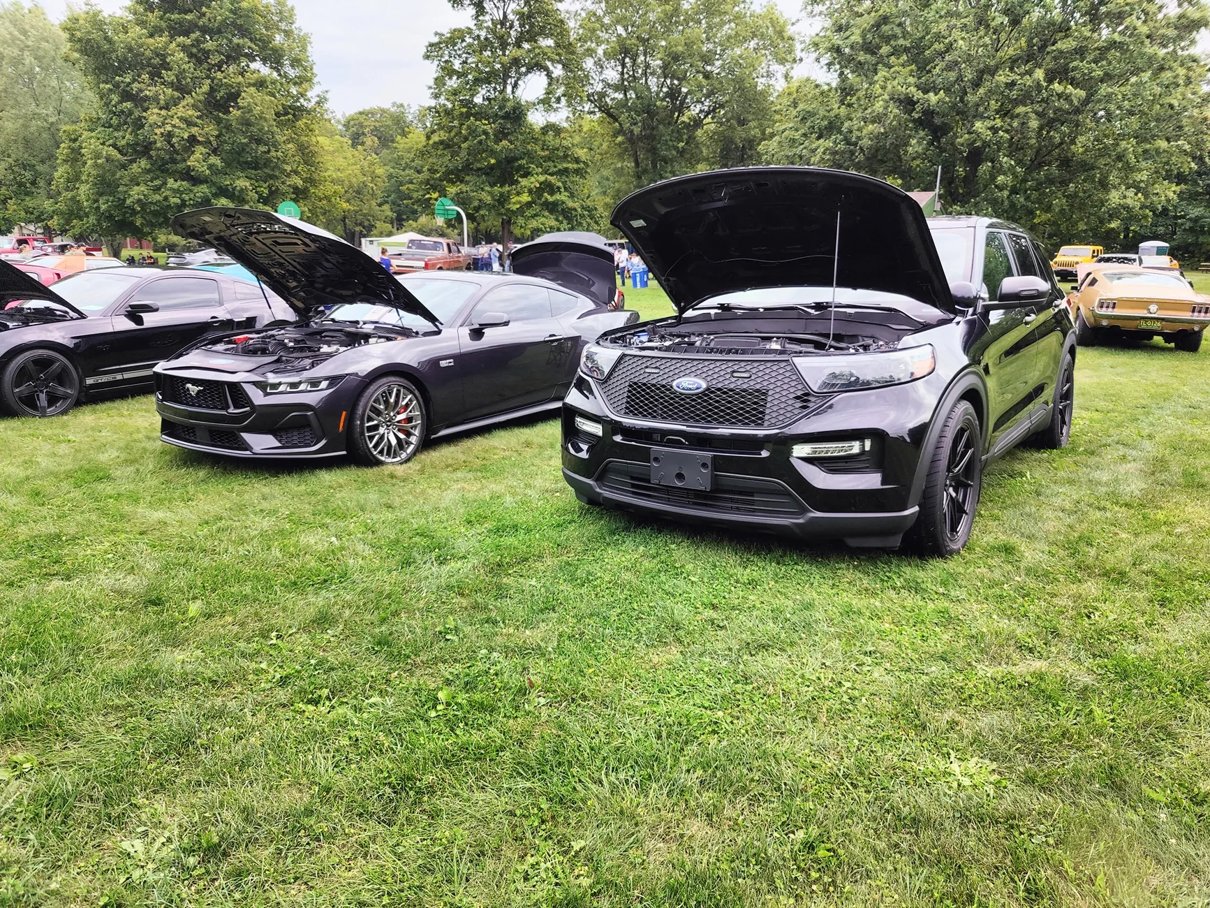 S650 Mustang Summertime is car shows 5154572286265533921