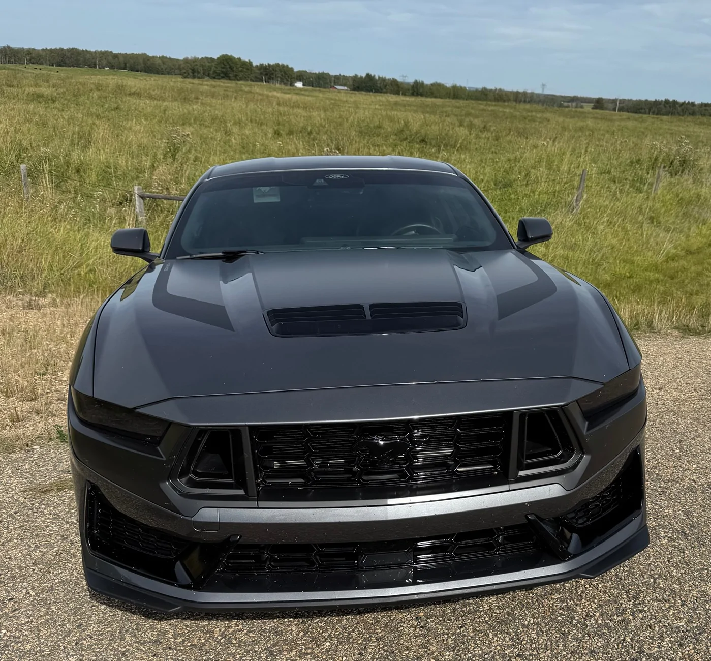 S650 Mustang Cool Daily Random S650 Mustang Pics -- Post Yours! 📸 IMG_1190