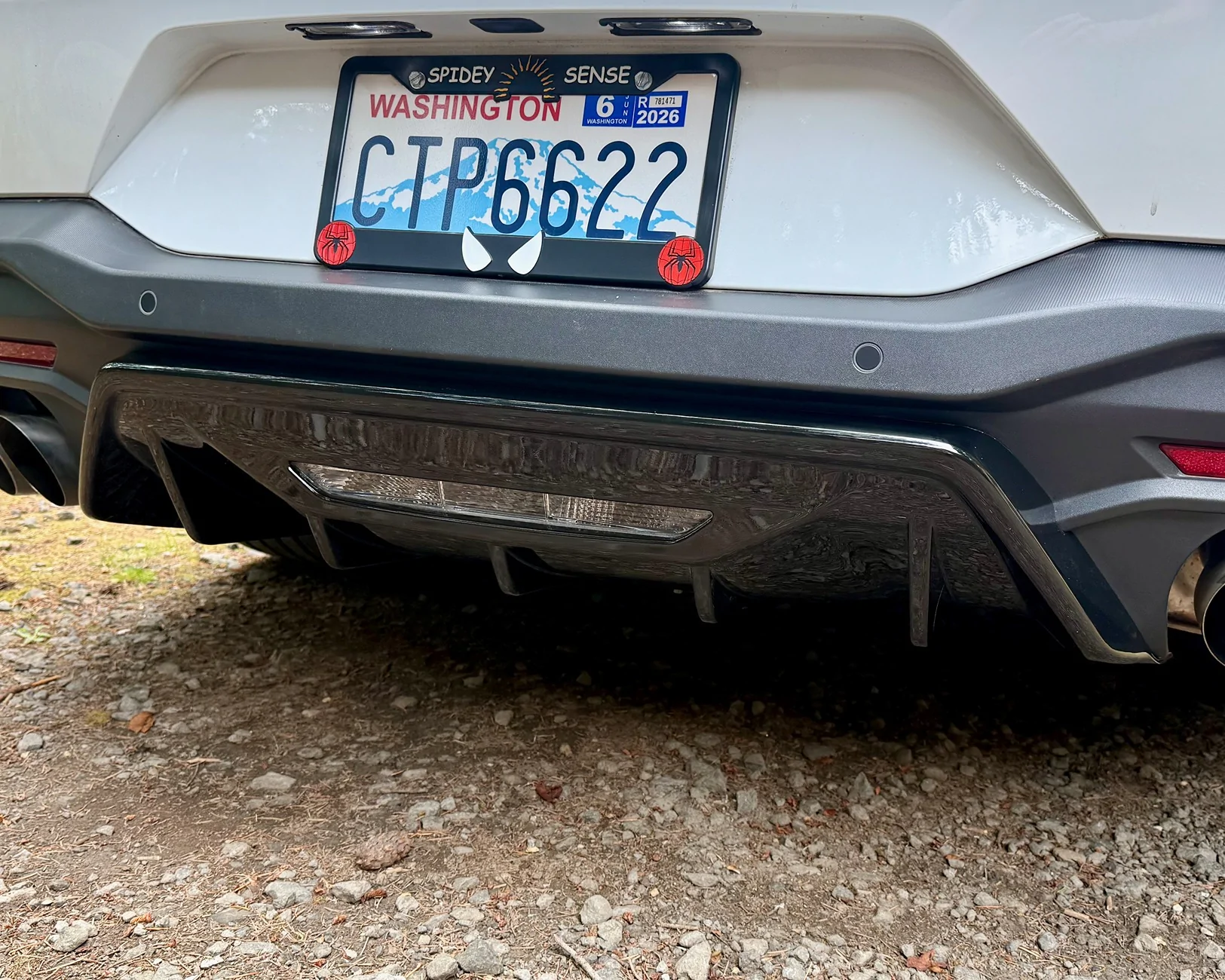 S650 Mustang EOS Diffuser w/Active Exhaust Install! IMG_6495