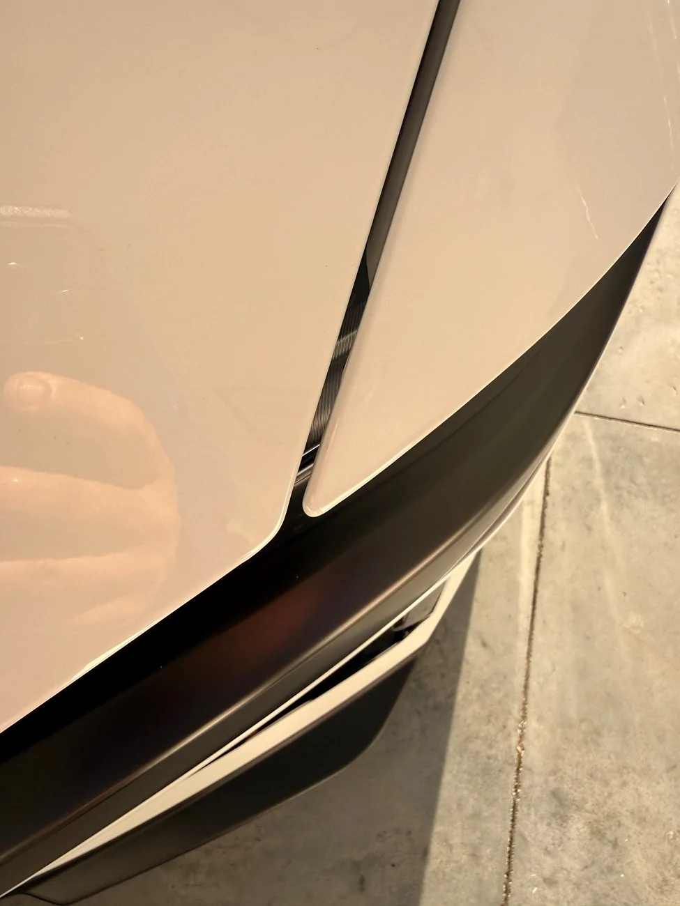 S650 Mustang Dark Horse Hood Issue IMG_2952