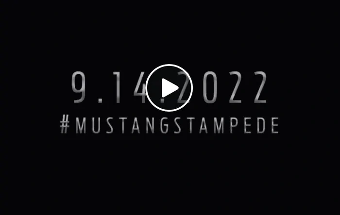 "Running with the herd" sound clip preview -- likely from next gen Mustang GT3, GT4 or Australian Supercar