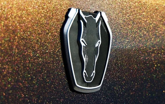 Dark Horse carbon fiber wheel info & predictions