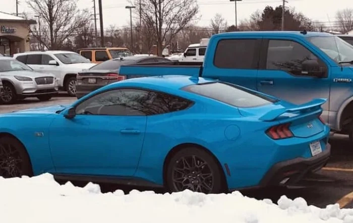 Body Color Painted Spoiler Wing 👍 or 👎 ??