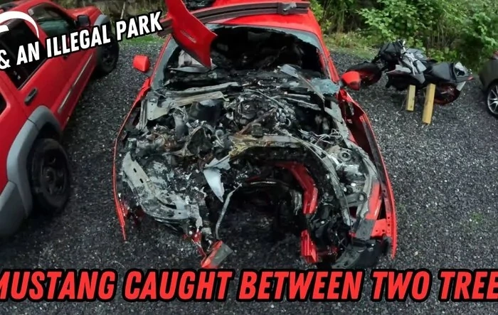 Devastating Mustang Crash in National Park