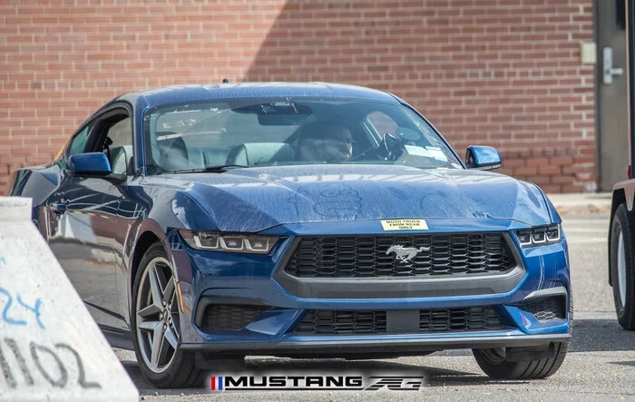 Hybrid Mustang EcoBoost Mule Spied?