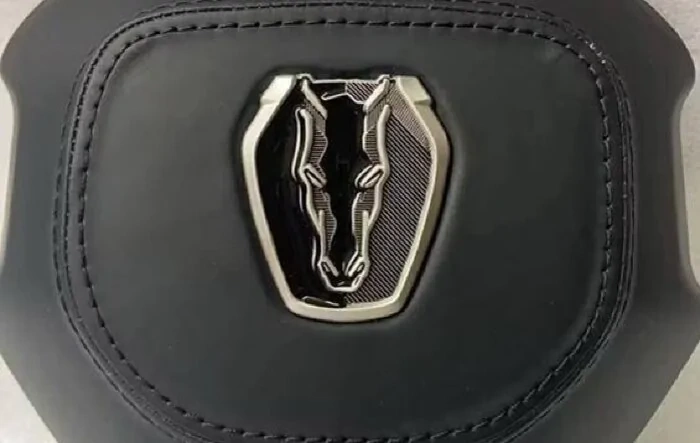 Dark Horse emblem on steering wheel