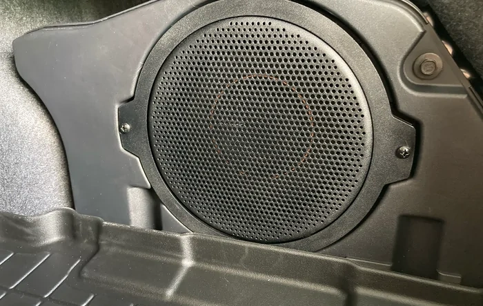 2025 Dark Horse, OEM B&O Sub replacement - Pioneer TS-D10D4